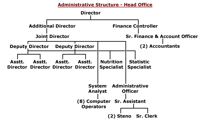 Organization Structure
