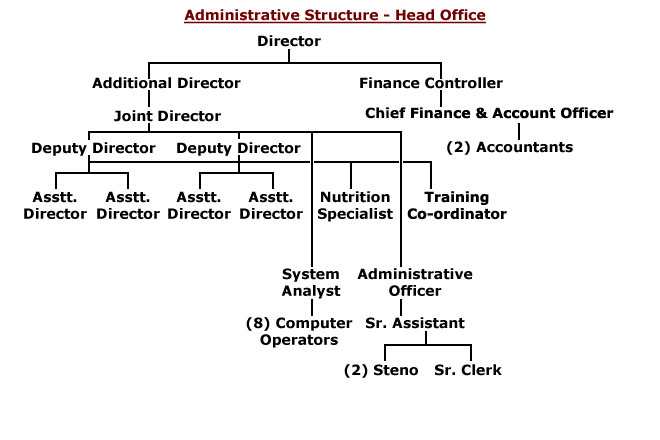 Organizational Structure